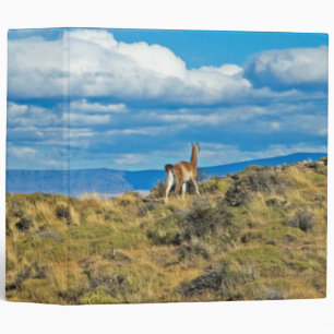 Guanaco Country, Patagonia Binder