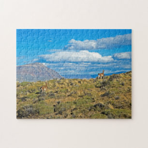 Guanaco Country, Patagonia Jigsaw Puzzle