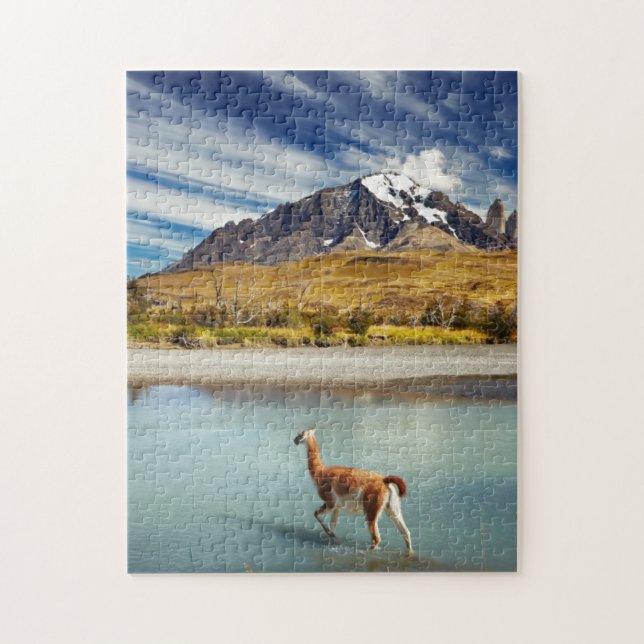 Guanaco crossing the river in Torres del Paine Jigsaw Puzzle (Vertical)