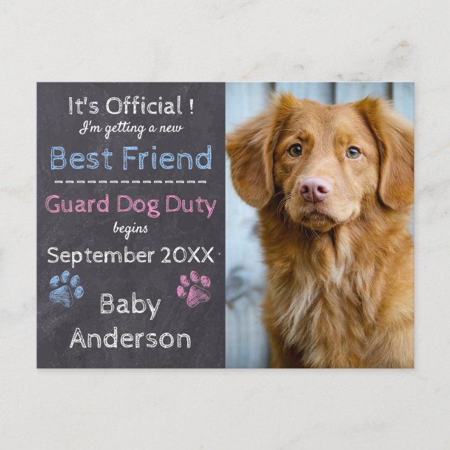 Guard Dog Duty Pregnancy Announcement Postcard (Front)