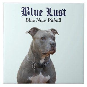 Guardian Blue Lust Pitbull Ceramic Tile