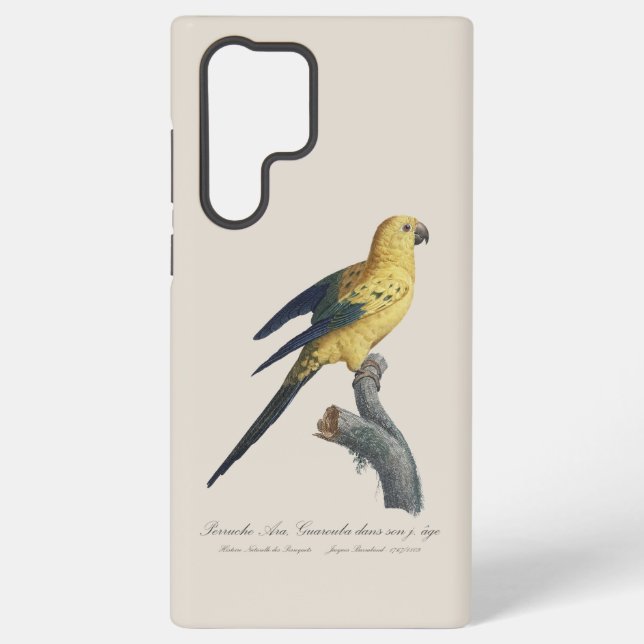 Guarouba dans sons jeune age / Sun parakeet  Samsung Galaxy S22 Ultra Case (Back)