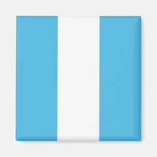 Guatemala Flag Magnet
