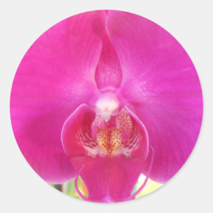 Guda Classic Round Sticker