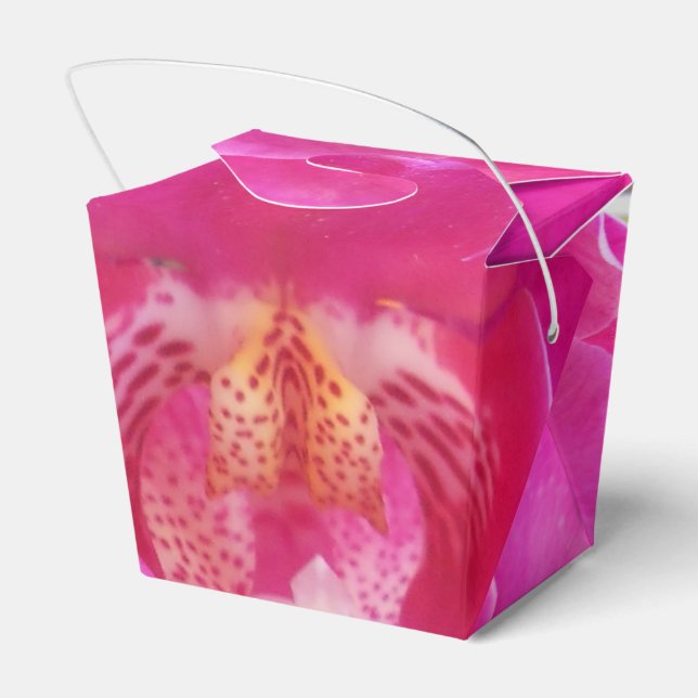Guda Favor Box (Back Side)