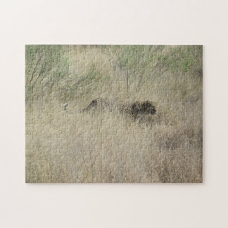 Guépard puzzle au Botswana, Afrique