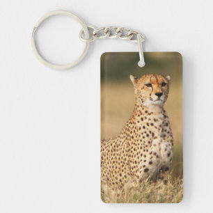 Guépard sur un petit monticule pour une meilleure