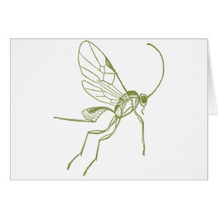 Guêpe, Hyphantria de Meteorus