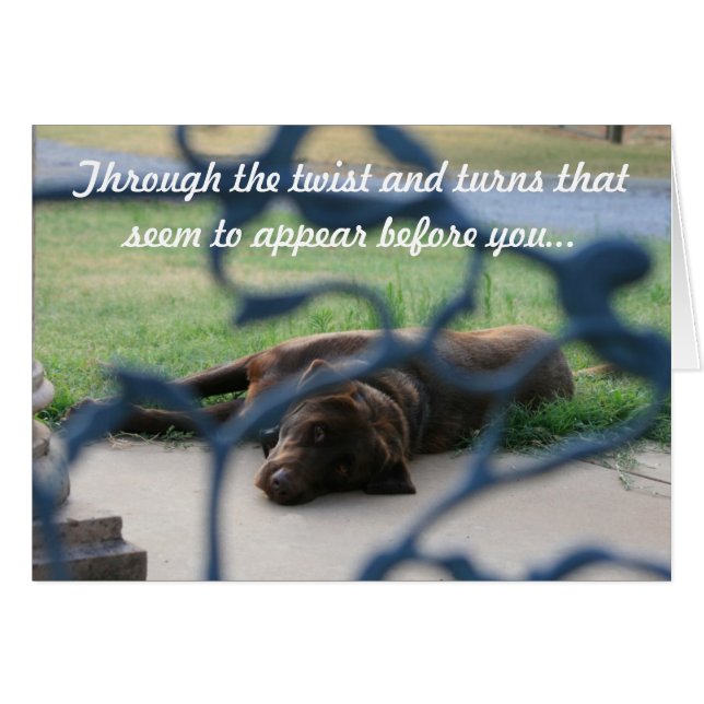 guérison (Devant horizontal)