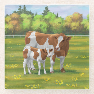 Guernsey Cow & Cute Calf in Summer Pasture Glass Coaster