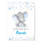 Guess How Many Peanuts Blue Elephant Baby Shower