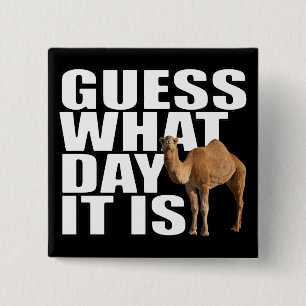 Guess What Day It Is Hump Day Camel 2 Inch Square Button