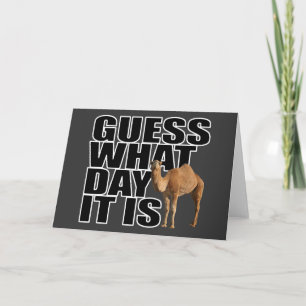 Guess What Day It Is Hump Day Camel Card
