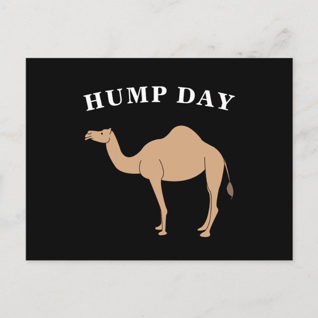 Guess What Day It Is Hump Day Camel Desert Animal Postcard (Front)