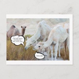 Guess what day it is postcard