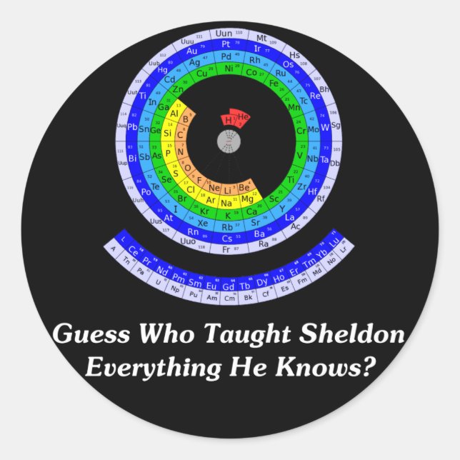 Guess Who Taught Sheldon Everything He Knows? Classic Round Sticker (Front)