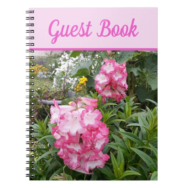 Guest Book Penstemon Beautiful Pink floral Flower (Front)