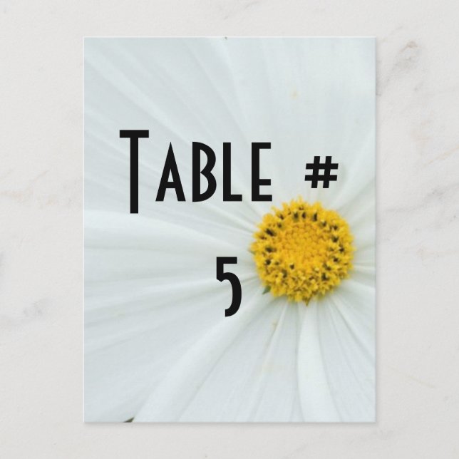 Guest Table Number Postcard (Front)