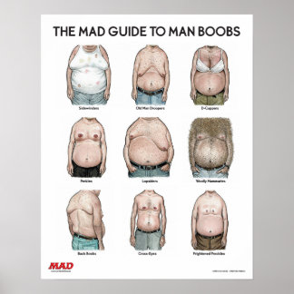 Guide MAD pour l'homme B**bs Poster