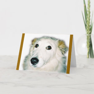 guilty dog card