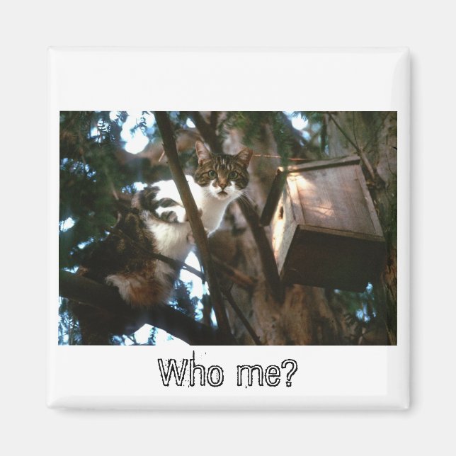 Guilty! Magnet (Front)