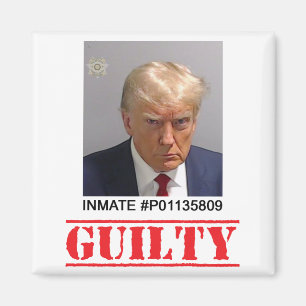 Guilty Magnet