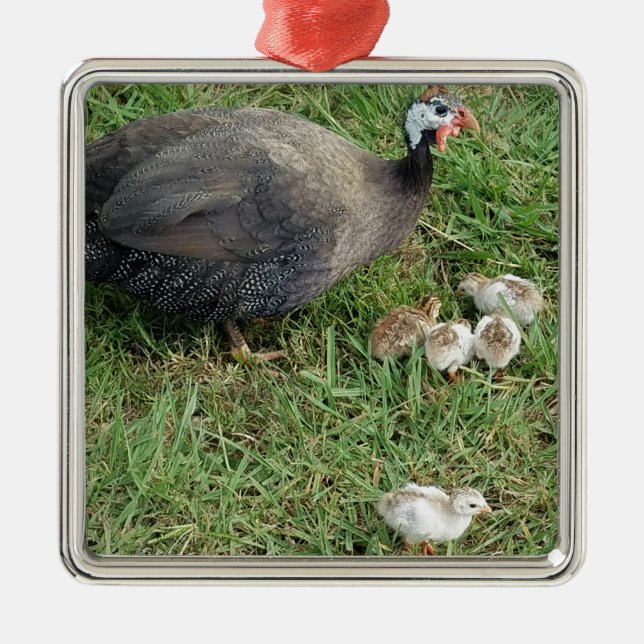 Guinea Family - Royal Purple Guinea With Keets Metal Ornament (Front)