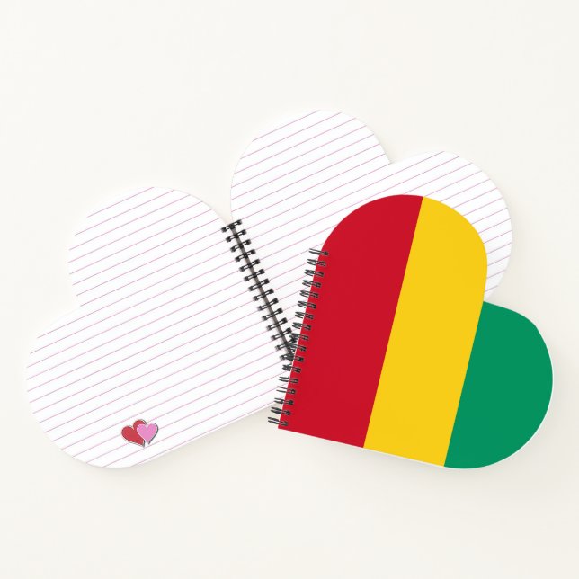 Guinea flag notebook (Inside)