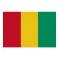 Guinea Flag