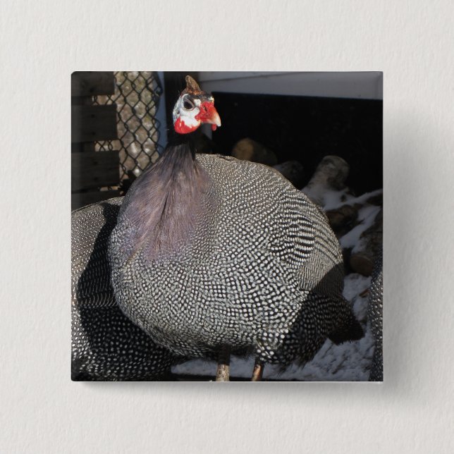 Guinea Fowl 2 Inch Square Button (Front)