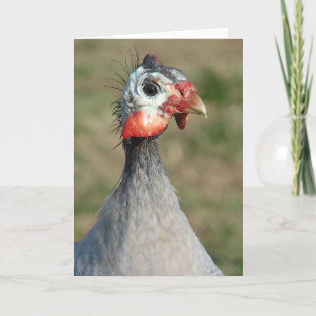 Guinea Fowl Card (Front)