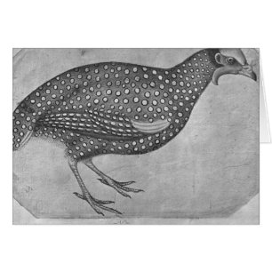 Guinea Fowl, from the The Vallardi Album