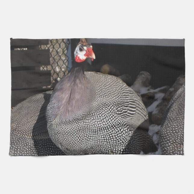 Guinea Fowl Kitchen Towel (Horizontal)