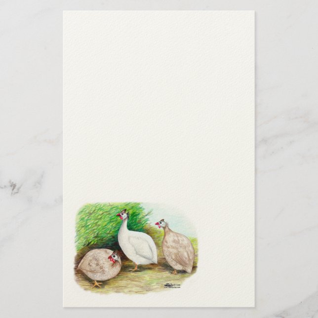 Guinea Fowl Outside Stationery (Front)