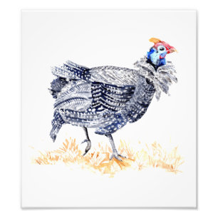 Guinea fowl photo print