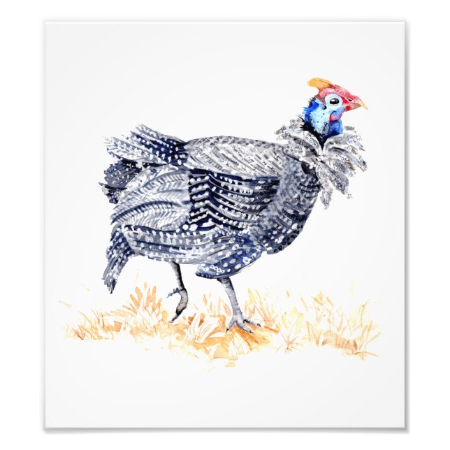 Guinea fowl photo print (Front)