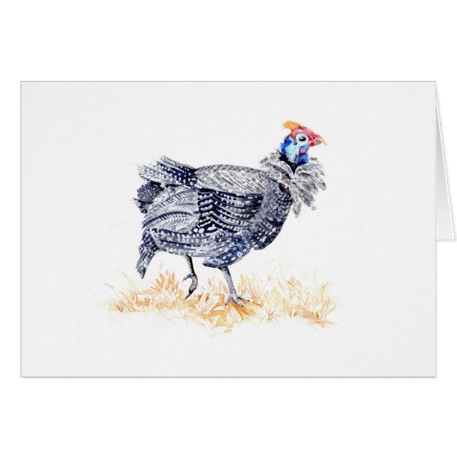 Guinea hen (Front Horizontal)