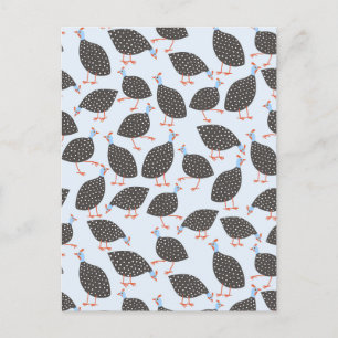 Guinea Hen Bird Postcard
