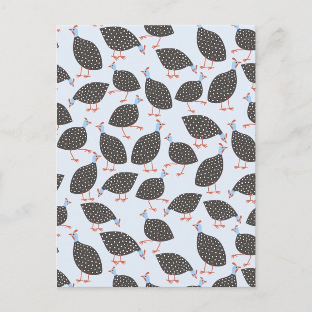 Guinea Hen Bird Postcard (Front)