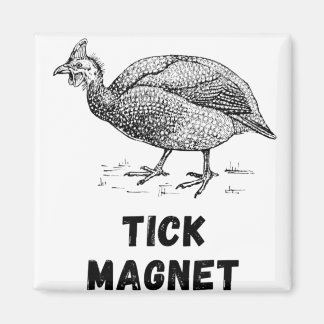 Guinea Hen Fowl Farm Animals Country Poultry Guine Magnet