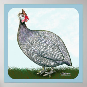 Guinea Lavender On Watch Poster