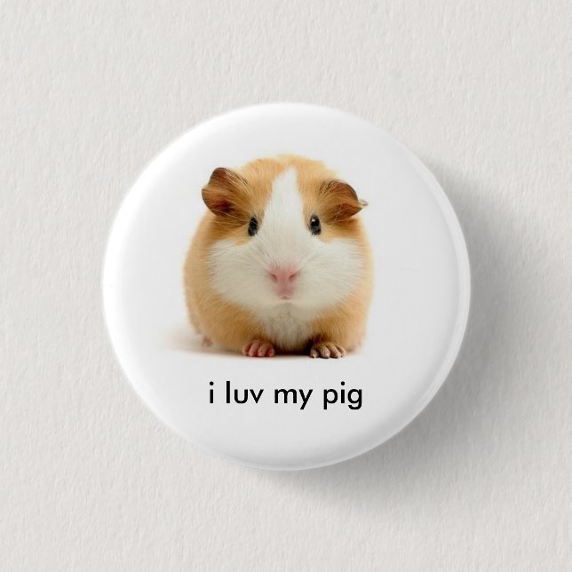 guinea pig 1 inch round button (Front)