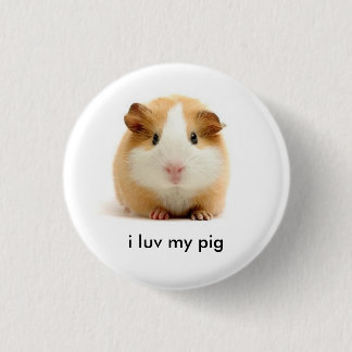 guinea pig 1 inch round button