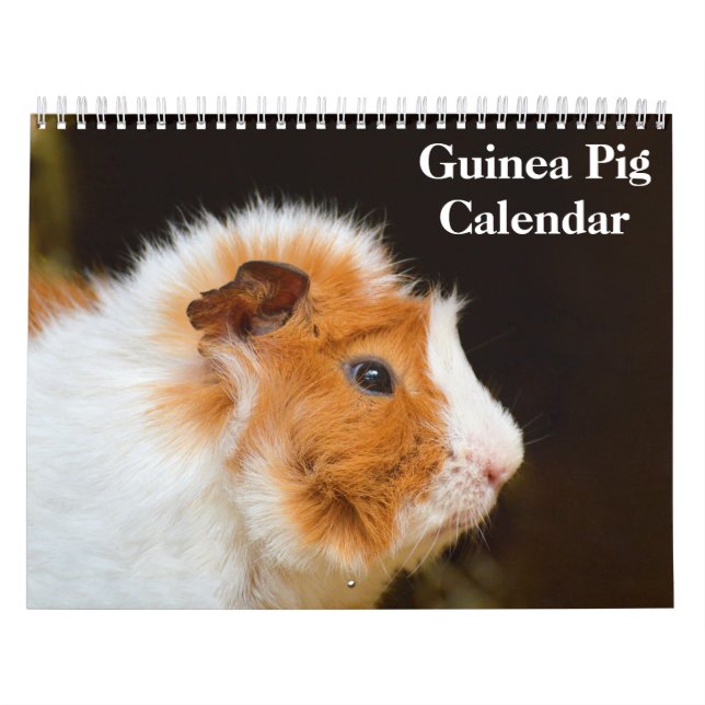 Guinea Pig 2026 Calendar (Cover)