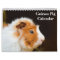 Guinea Pig 2027