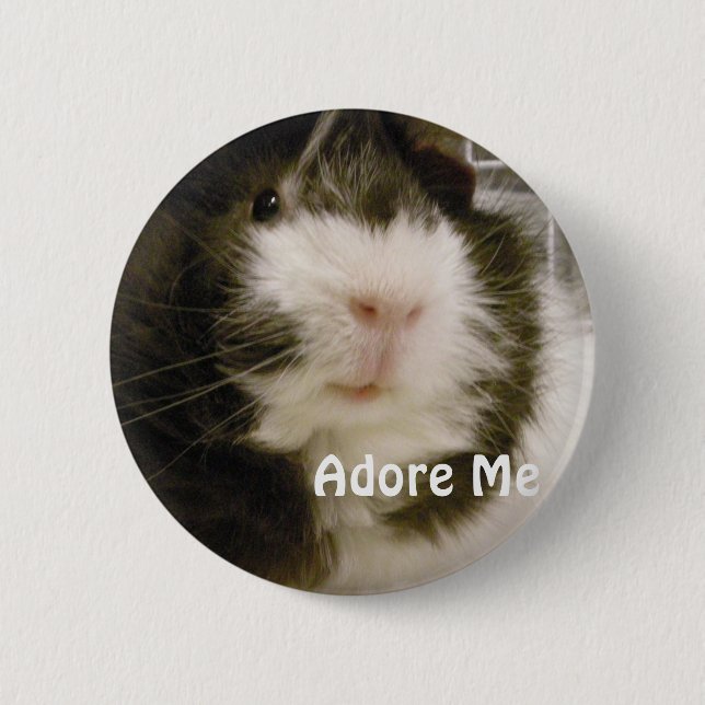 Guinea Pig 2 Inch Round Button (Front)