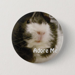 Guinea Pig 2 Inch Round Button