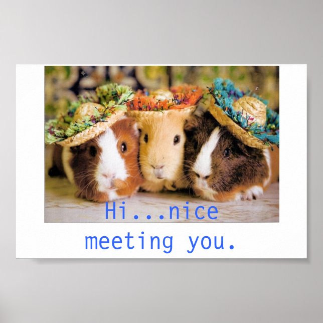 Guinea Pig Acquaintances Poster (Front)