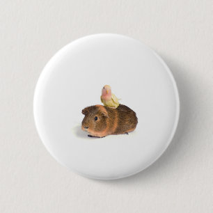 guinea pig and yellow bird 2 inch round button