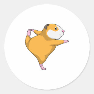 Guinea pig at Yoga Stretching exercise Classic Round Sticker